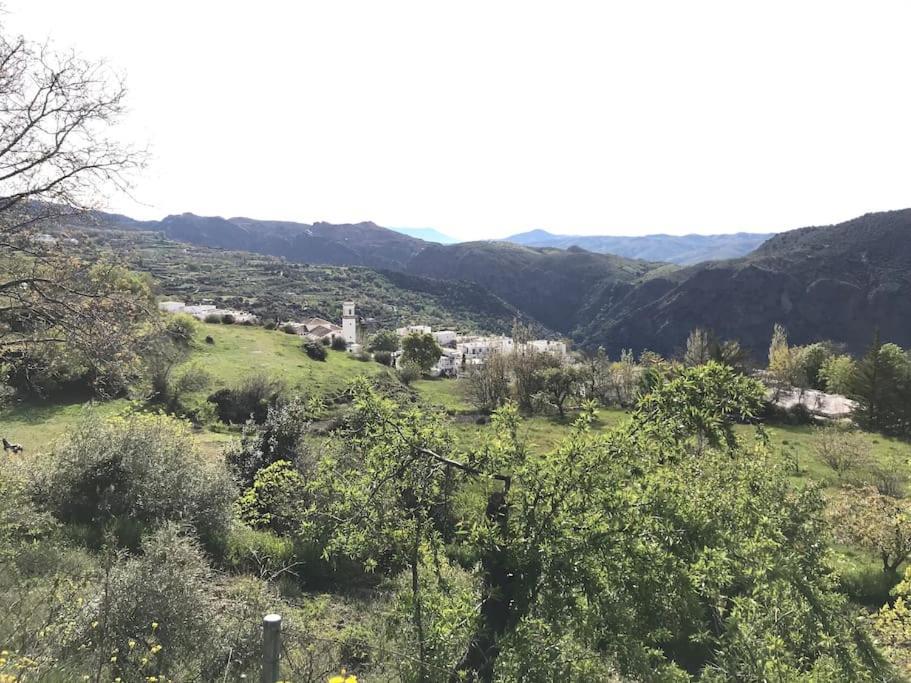 Pitres La Casa Rural De Paco Y Ana מראה חיצוני תמונה