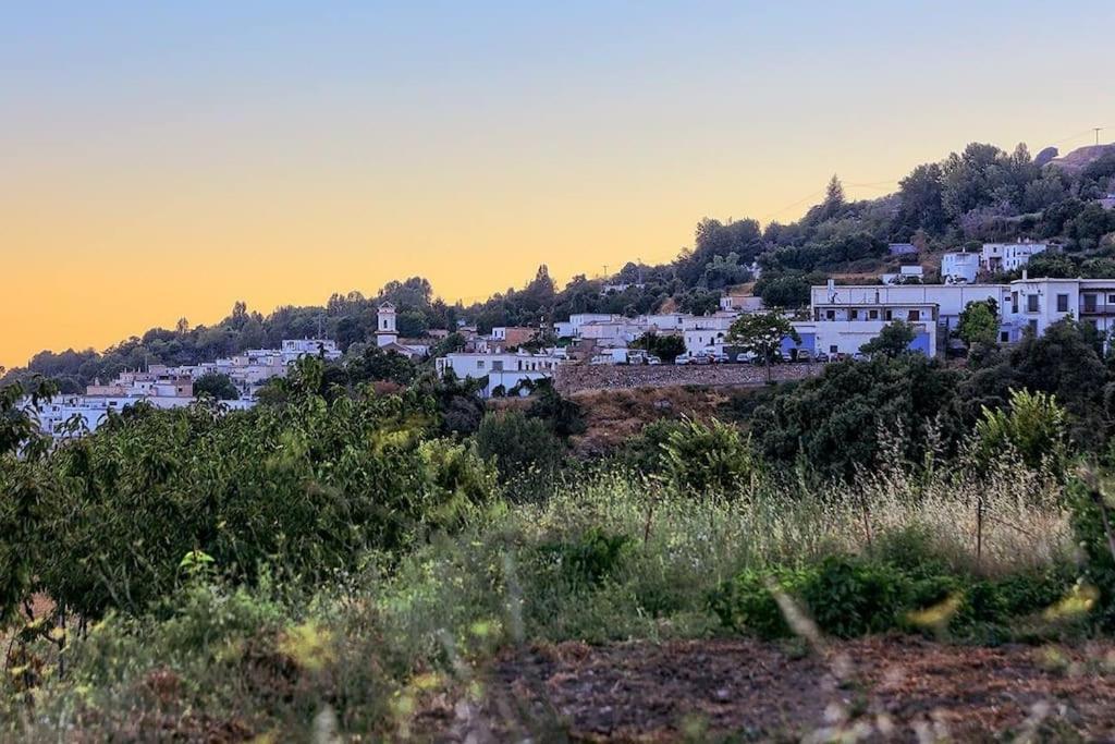 Pitres La Casa Rural De Paco Y Ana מראה חיצוני תמונה
