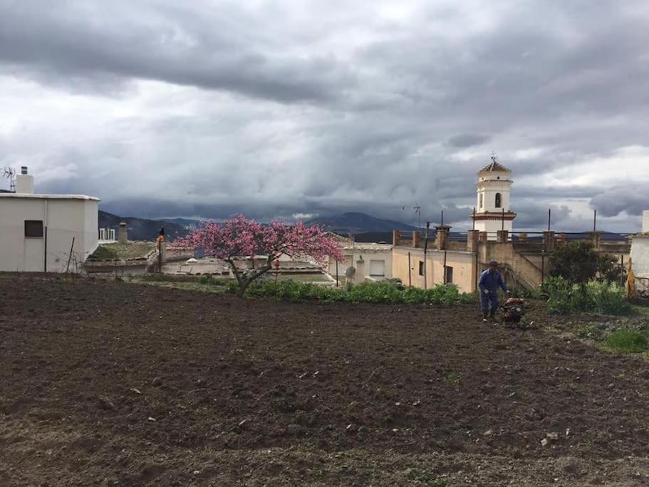 Pitres La Casa Rural De Paco Y Ana מראה חיצוני תמונה