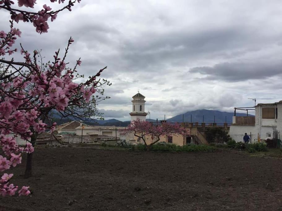 Pitres La Casa Rural De Paco Y Ana מראה חיצוני תמונה