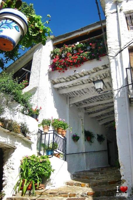 Pitres La Casa Rural De Paco Y Ana מראה חיצוני תמונה