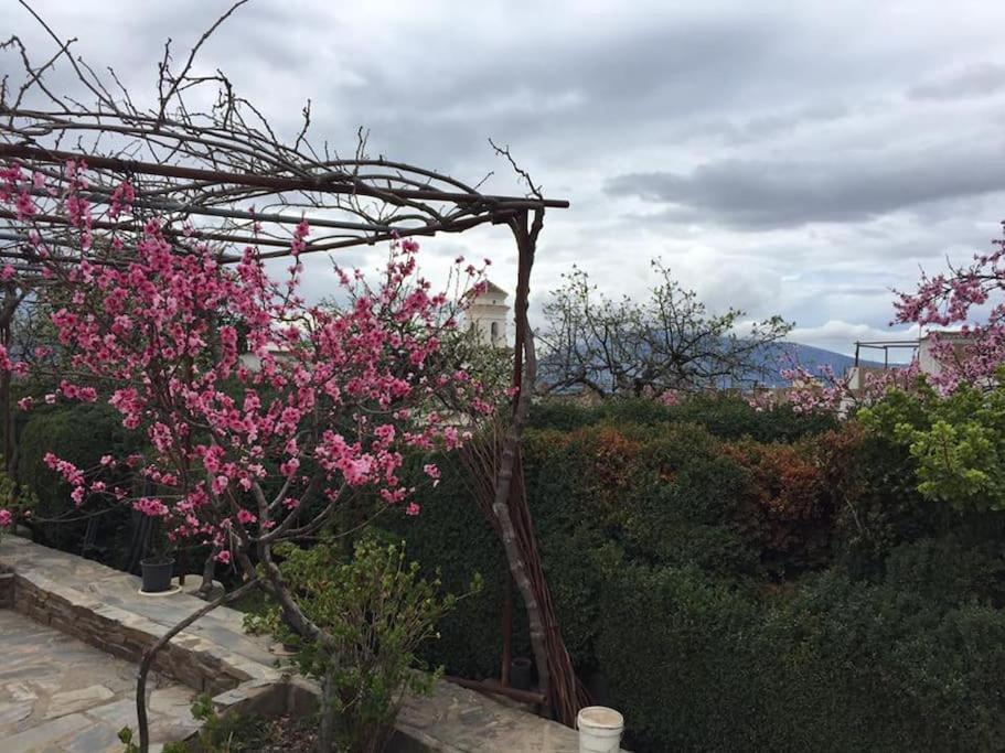 Pitres La Casa Rural De Paco Y Ana מראה חיצוני תמונה