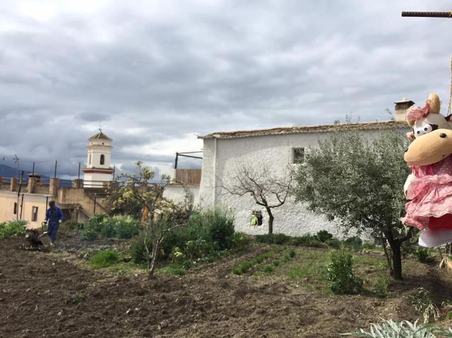 Pitres La Casa Rural De Paco Y Ana מראה חיצוני תמונה